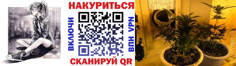 закладки  Юрьевец  блэк спрут как зайти  Канабис Bruce Banner 